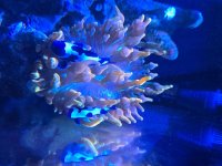 20251208_171528.jpg
