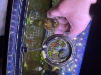 IMG_9269.jpeg