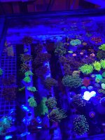 IMG_0837.jpg