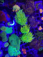 IMG_0834.jpg