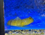 IMG_6656 2.jpg