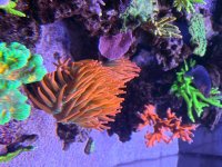 IMG_0712.jpeg