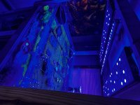 IMG_1299.jpeg