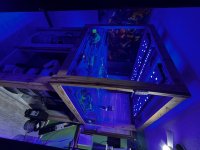 IMG_1296.jpeg