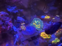 IMG_9308.jpeg