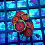 25 PC070112.JPG