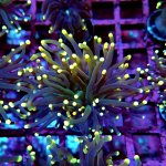 45 PC130230.JPG