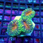 50 PC130042.JPG