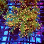 100 PC130050.JPG