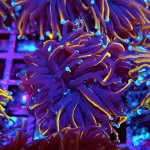 110 PC130203.JPG