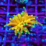 145 PC130150.JPG