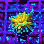 145 PC130151.JPG