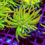 155 PC130124.JPG