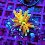 155 PC130141.JPG