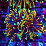 155 PC130216.JPG