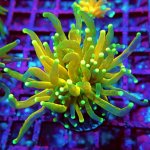 165 PC130138.JPG