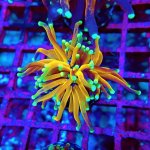 165 PC130139.JPG