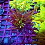 200 PC130127.JPG