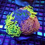 225 PC070132.JPG