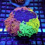 225 PC070133.JPG