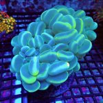 275 PC070118.JPG