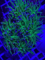 IMG_0858.jpg