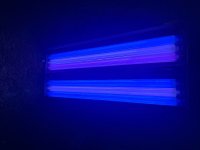 IMG_0822.jpeg