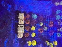 IMG_0852.jpeg