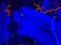 IMG_9337.jpeg