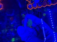 IMG_9334.jpeg