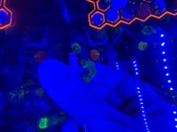 IMG_9332.jpeg