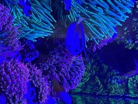 IMG_7620.jpeg