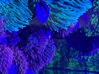 IMG_7619.jpeg