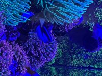 IMG_7618.jpeg