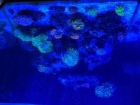 IMG_2474.jpeg