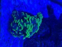 IMG_2479.jpeg
