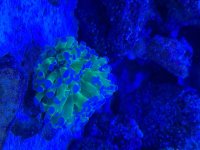 IMG_2480.jpeg