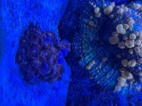 IMG_2481.jpeg