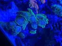 IMG_2483.jpeg