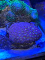IMG_2484.jpeg