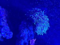IMG_2488.jpeg