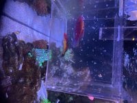 IMG_8524.jpeg