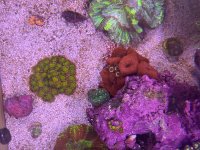 IMG_0431.jpeg