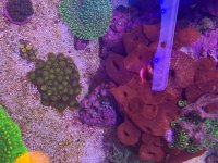 IMG_0432.jpeg
