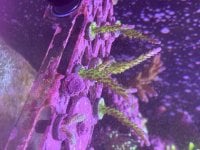 IMG_0430.jpeg