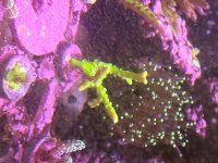 IMG_0434.jpeg
