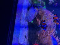 IMG_3045.jpeg