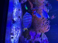 IMG_3046.jpeg