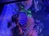 IMG_3049.jpeg