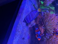 IMG_3048.jpeg